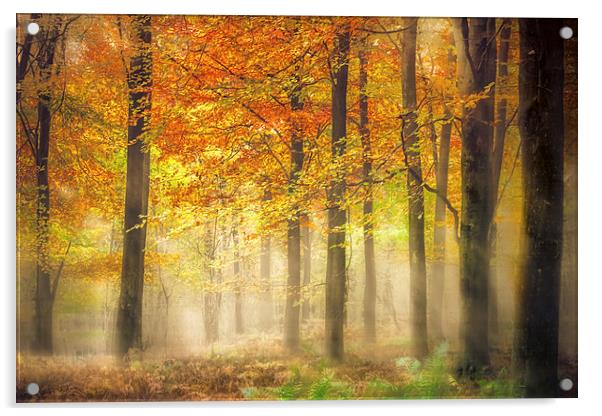 Autumn Gold Acrylic by Ian Hufton