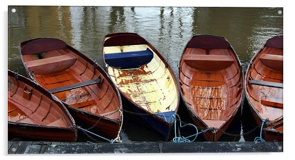 Oxford rowing boats Acrylic by Tony Bates