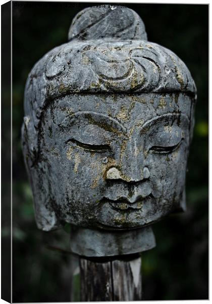 Buddha on a stick Canvas Print by Jo Beerens