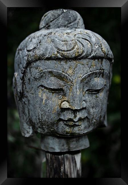 Buddha on a stick Framed Print by Jo Beerens