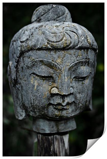 Buddha on a stick Print by Jo Beerens