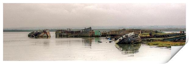 Hoo Marina, Kent, Wrecked Boats Print by Robert Cane