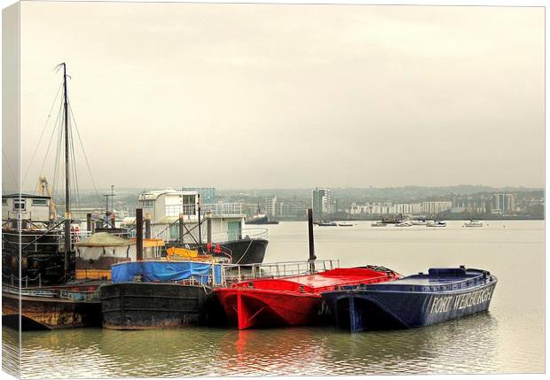 Hoo Marina, Moored Boats Canvas Print by Robert Cane