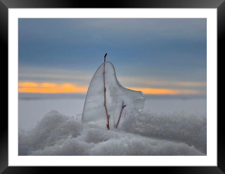 Encaptured Framed Mounted Print by heather rivet