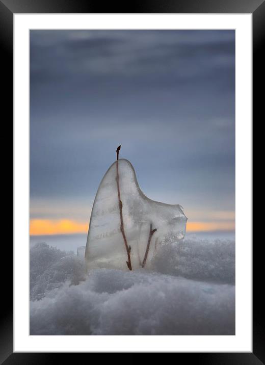 Frozen In Time Framed Mounted Print by heather rivet