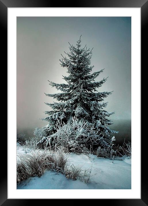 Majestic Winter Framed Mounted Print by heather rivet