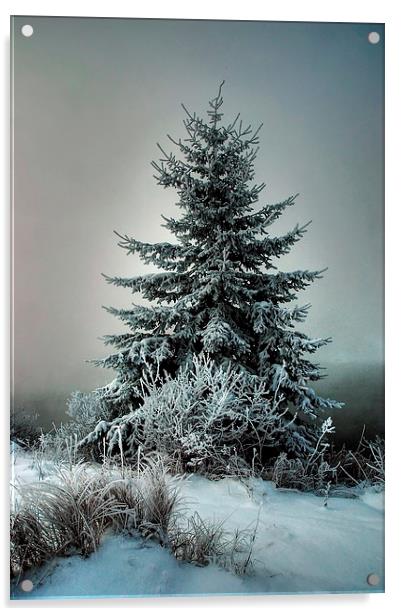 Majestic Winter Acrylic by heather rivet