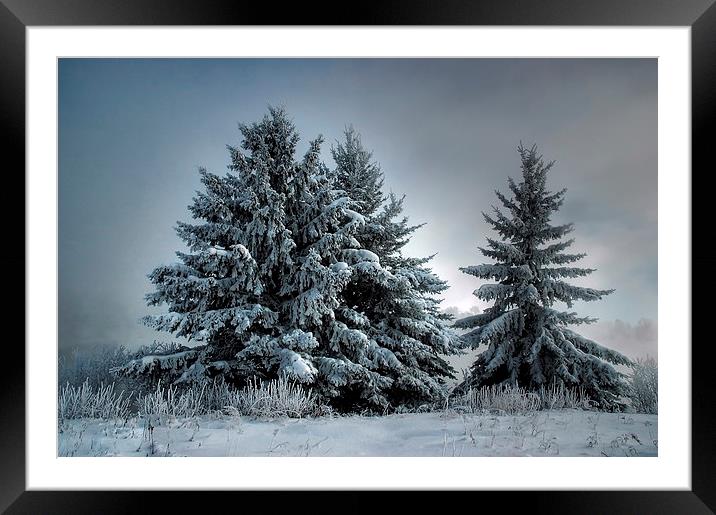 In The Spirit Of Winter Framed Mounted Print by heather rivet