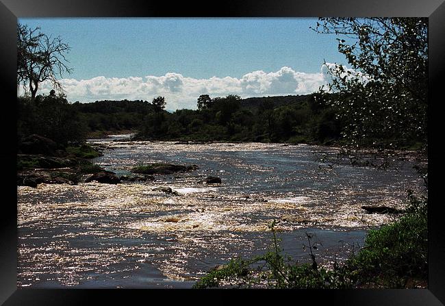 JST2662 The Mara River Framed Print by Jim Tampin