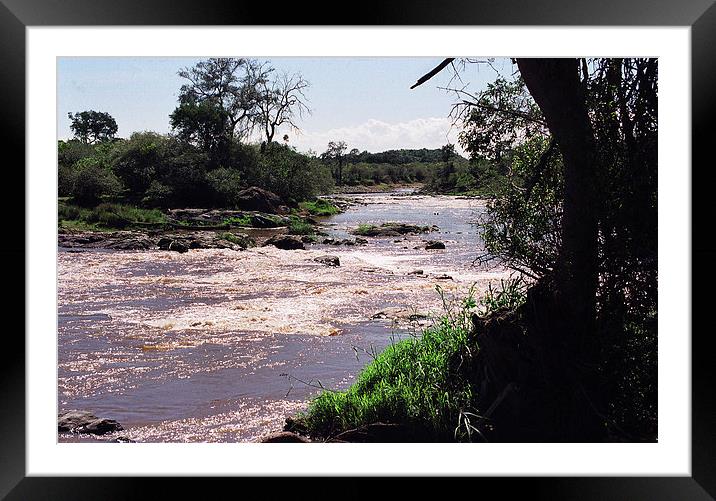 JST2659 Mara river Framed Mounted Print by Jim Tampin