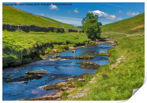 Langsthrothdale Yorks Dales Print by Trevor Kersley RIP