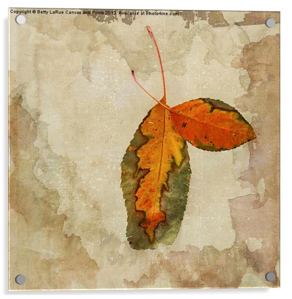 A Touch of Autumn #2 Acrylic by Betty LaRue