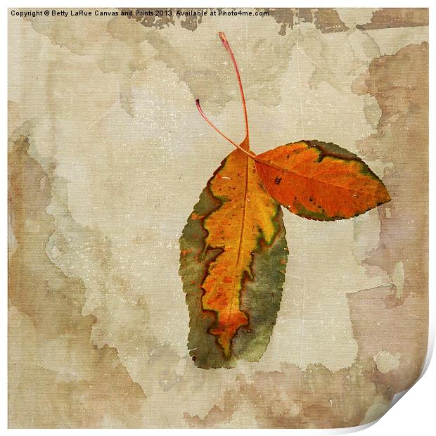 A Touch of Autumn #2 Print by Betty LaRue