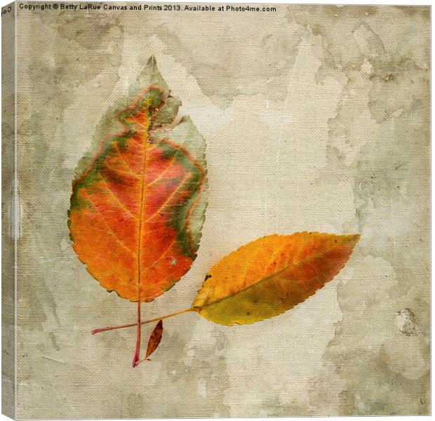 A Touch of Autumn #1 Canvas Print by Betty LaRue