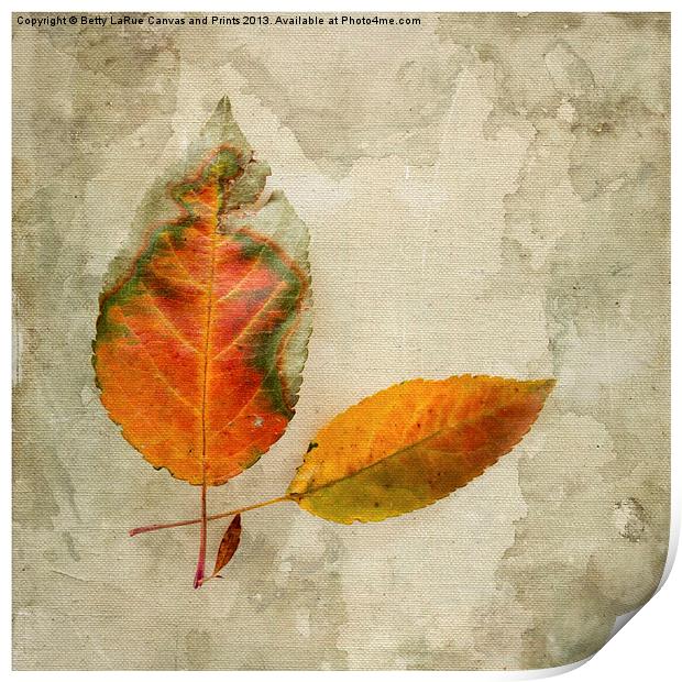 A Touch of Autumn #1 Print by Betty LaRue