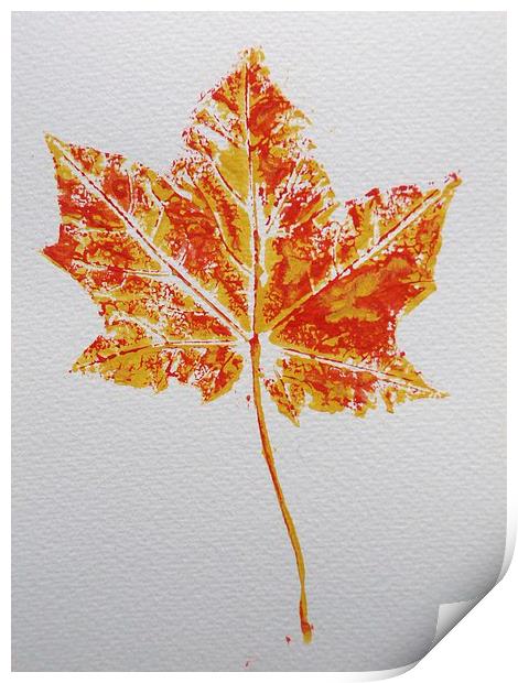 Maple leaf print Print by Jennifer Henderson