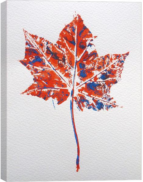 Maple leaf in red and blue Canvas Print by Jennifer Henderson