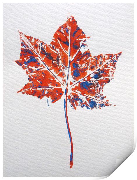 Maple leaf in red and blue Print by Jennifer Henderson