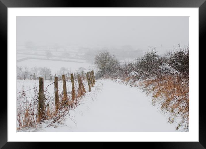 Snowy Path Framed Mounted Print by Lynette Holmes