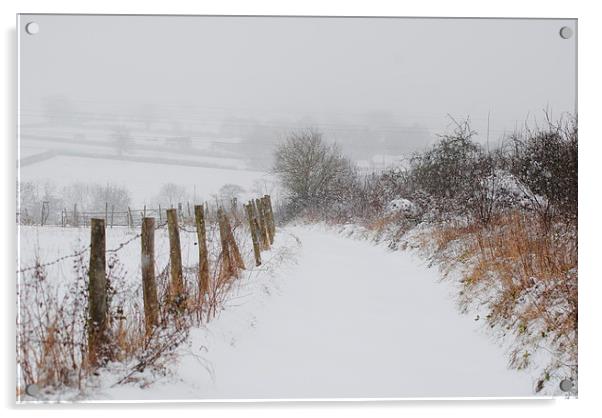 Snowy Path Acrylic by Lynette Holmes