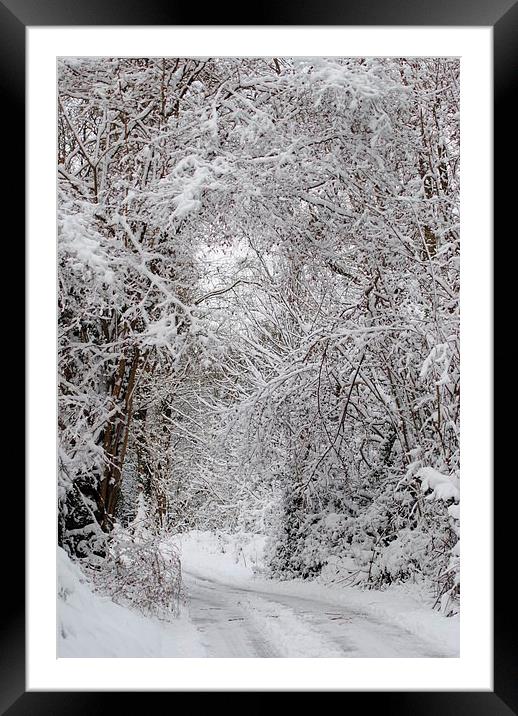 Snowy Lane Framed Mounted Print by Lynette Holmes