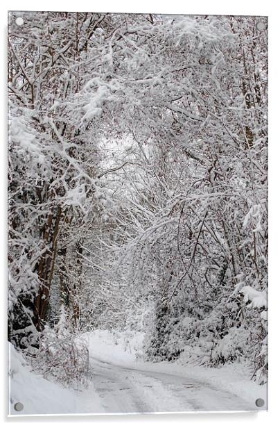 Snowy Lane Acrylic by Lynette Holmes