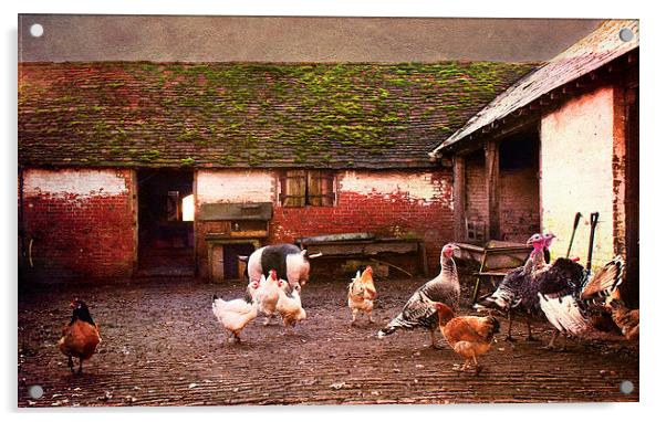 Animal Farm Acrylic by Dawn Cox