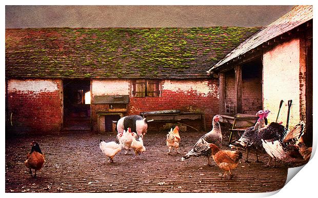 Animal Farm Print by Dawn Cox