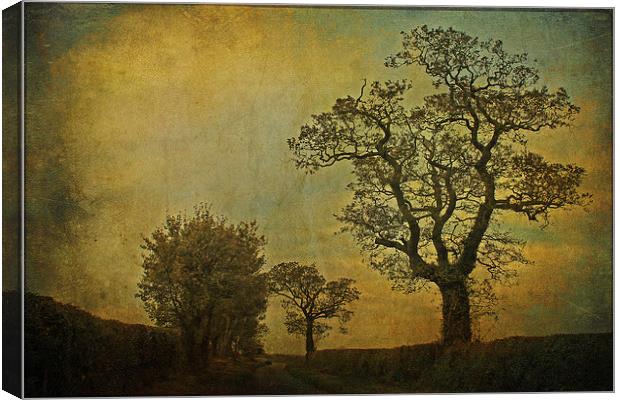 Country Road Canvas Print by Julie Coe