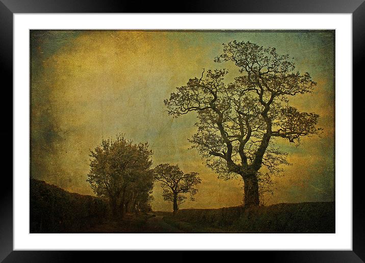 Country Road Framed Mounted Print by Julie Coe