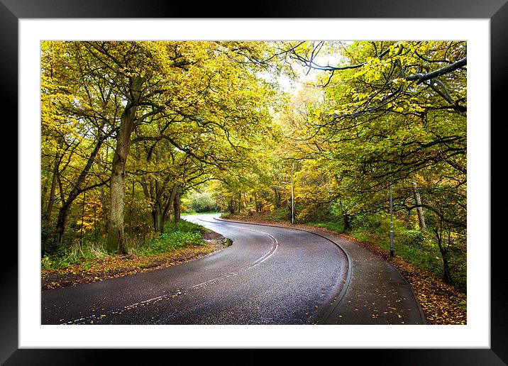 Autumn Road, Mousehold Framed Mounted Print by Jordan Browning Photo