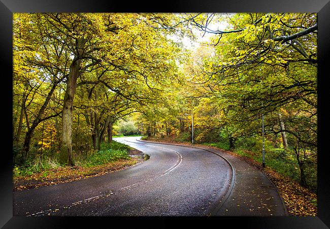 Autumn Road, Mousehold Framed Print by Jordan Browning Photo