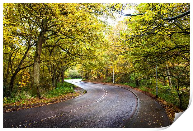 Autumn Road, Mousehold Print by Jordan Browning Photo