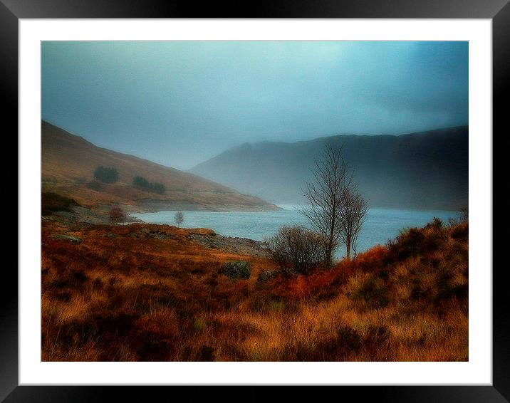 highland color Framed Mounted Print by dale rys (LP)