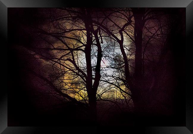 The moon through the trees Framed Print by Simon West