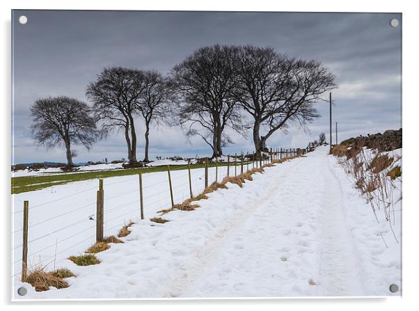 Snowy Track Acrylic by Mike Stephen