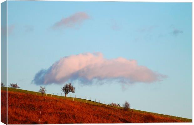 A cloud over a tree Canvas Print by Kayleigh Meek