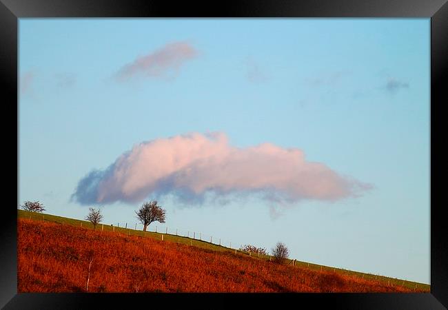 A cloud over a tree Framed Print by Kayleigh Meek