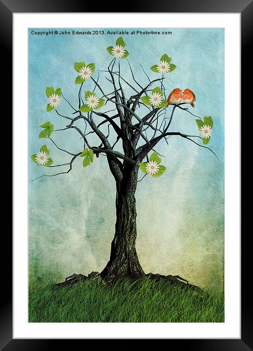 The Song of Spring Framed Mounted Print by John Edwards