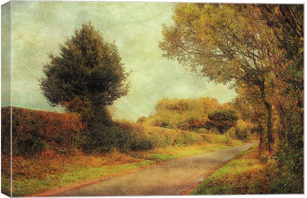 Country Road 2 Canvas Print by Julie Coe