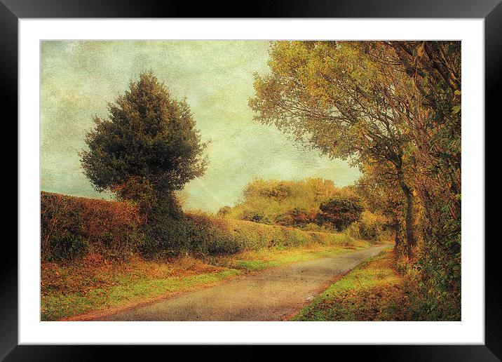 Country Road 2 Framed Mounted Print by Julie Coe