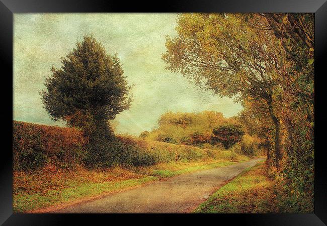Country Road 2 Framed Print by Julie Coe