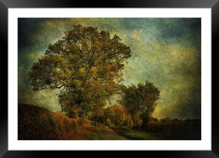 Country Road 3 Framed Mounted Print by Julie Coe