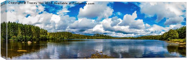Venford Reservoir Panorama. Canvas Print by Tracey Yeo