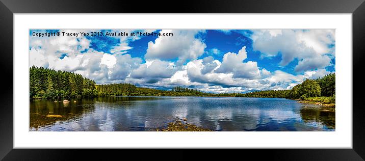 Venford Reservoir Panorama. Framed Mounted Print by Tracey Yeo