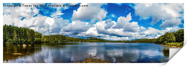 Venford Reservoir Panorama. Print by Tracey Yeo