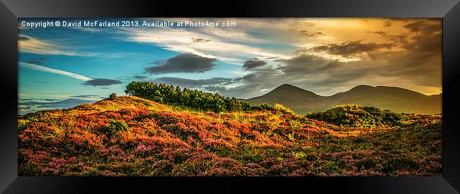 Evening over the Mourne Mountains Framed Print by David McFarland
