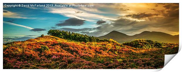 Evening over the Mourne Mountains Print by David McFarland