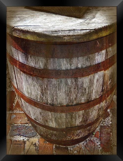 Looking Down the Barrel Framed Print by Judy Hall-Folde