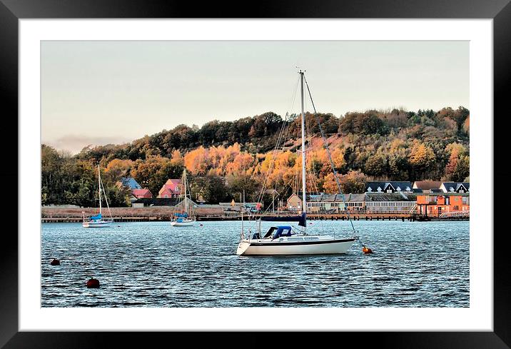 River Medway, Yacht Framed Mounted Print by Robert Cane